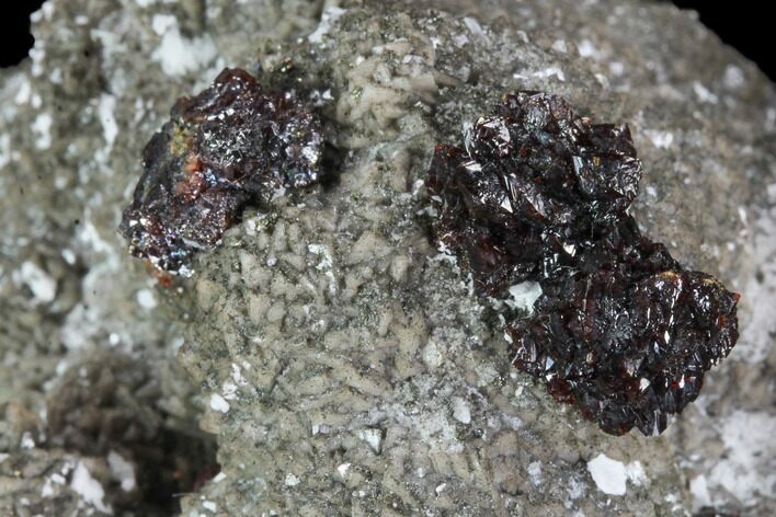 Sphalerite Flowers on Dolomite Association - Missouri #96384